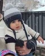 Mojtaba Moradi